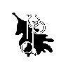 ppd